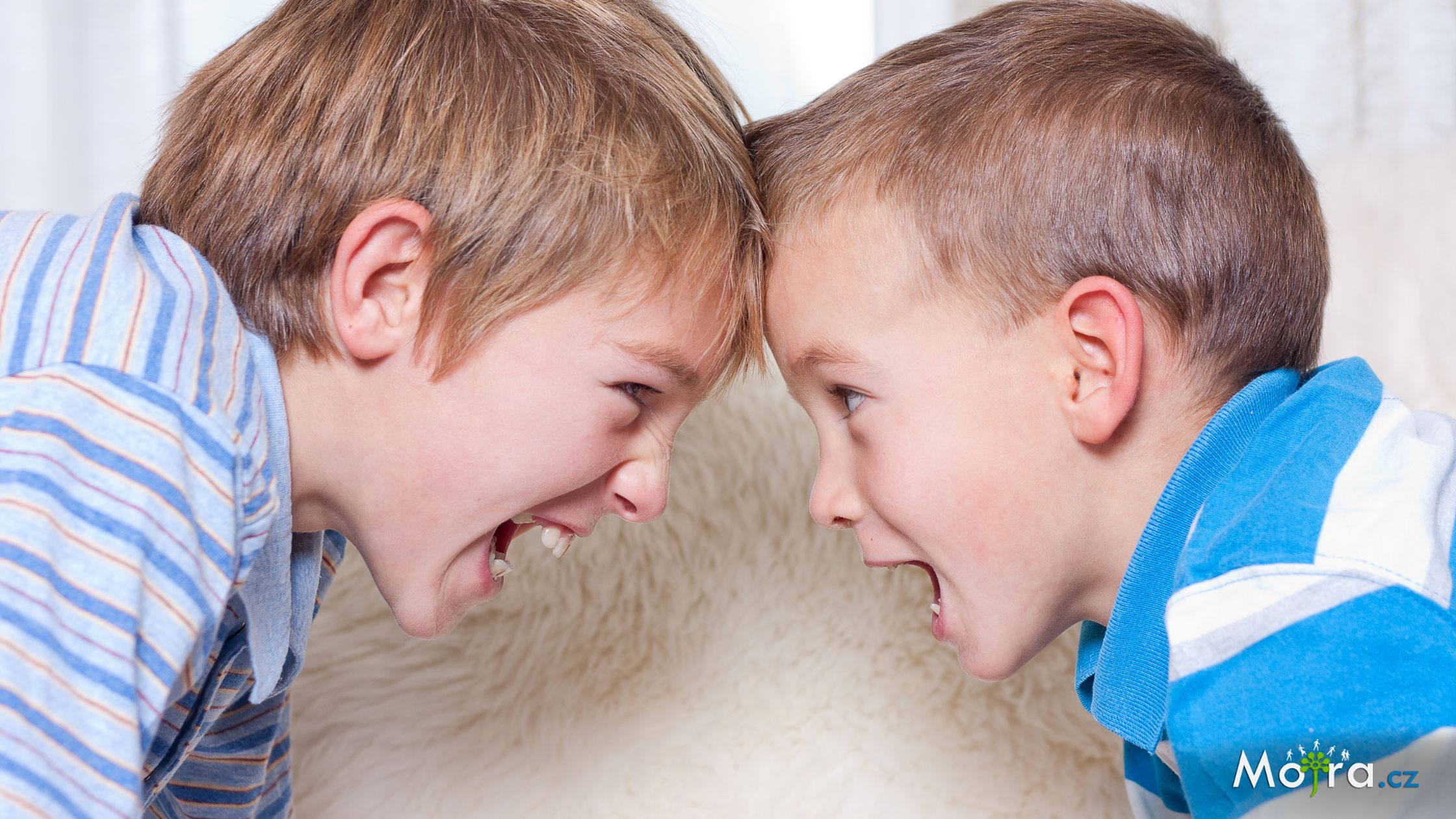 Kamarádi se nehádají… nebo ano?